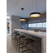 Reveal LED 20 inch Black Pendant Ceiling Light